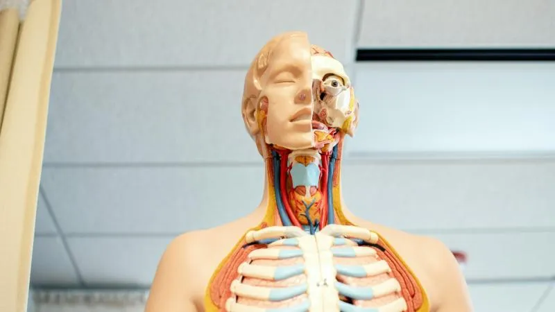 Chirurgie du cancer de la thyroïde
