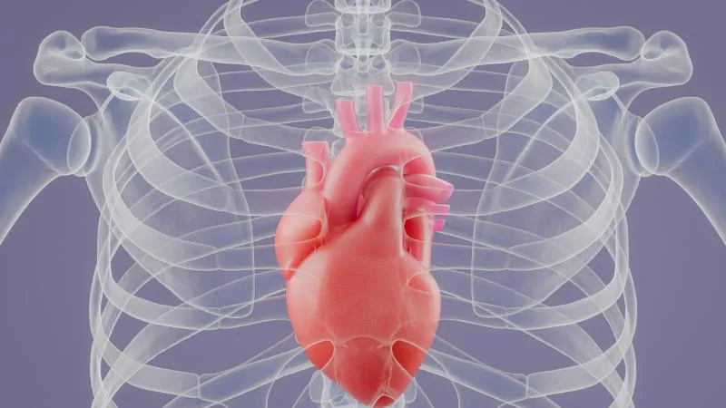 Chirurgie des valves cardiaques