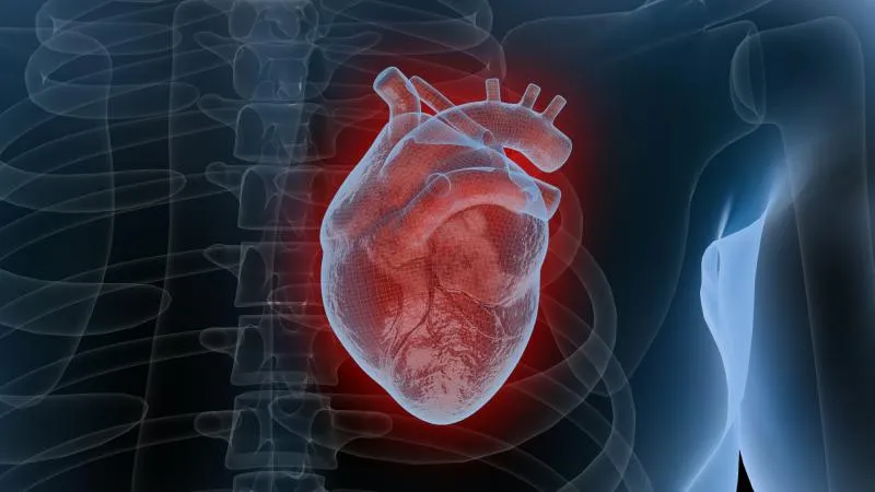 Réparation de la valve aortique