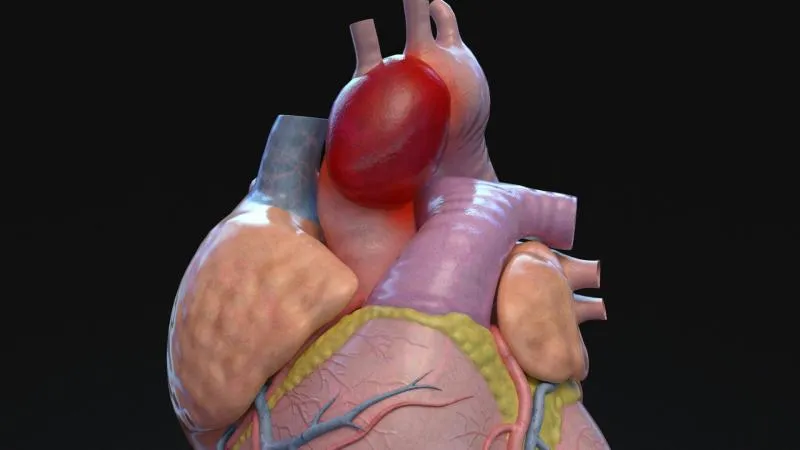 Remplacement de la valve aortique