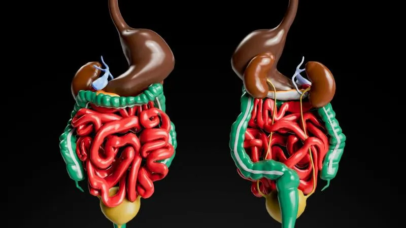 Chirurgie de Whipple - duodénopancréatectomie céphalique