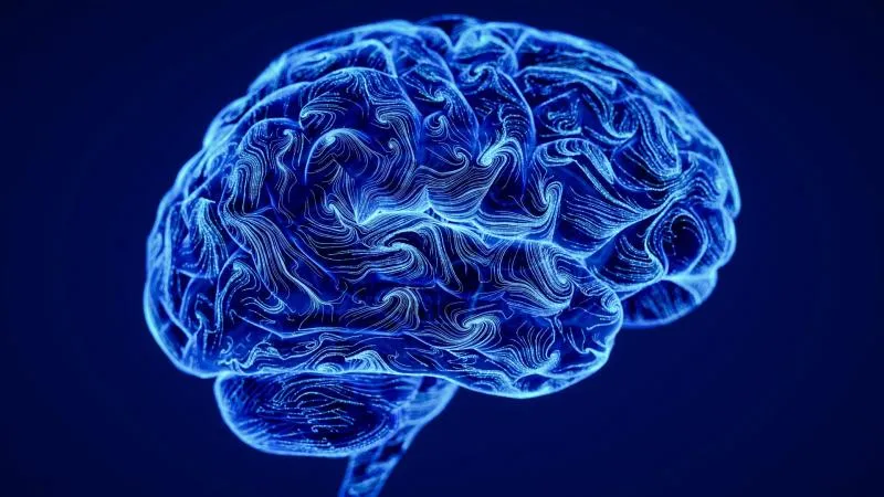 Chirurgie des MAV cérébrales - chirurgie des malformations artérioveineuses