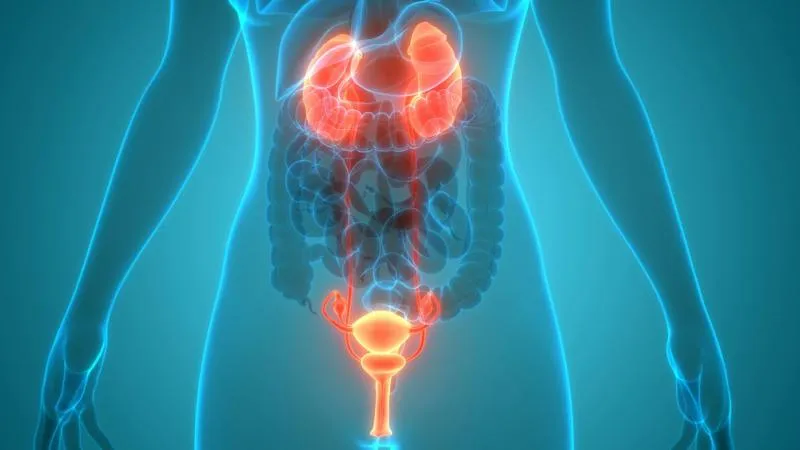 Chirurgie du cancer de la prostate