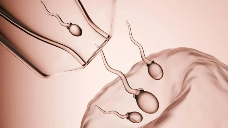 TESE microchirurgicale - Extraction de spermatozoïdes testiculaires