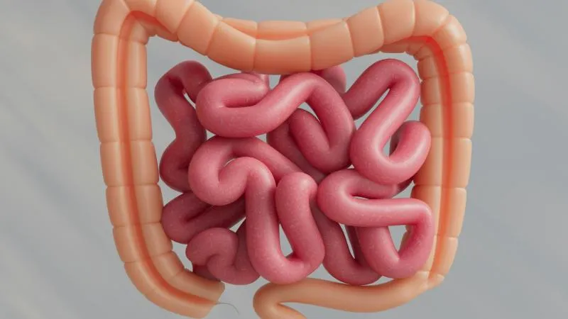 Ablation des polypes colorectaux