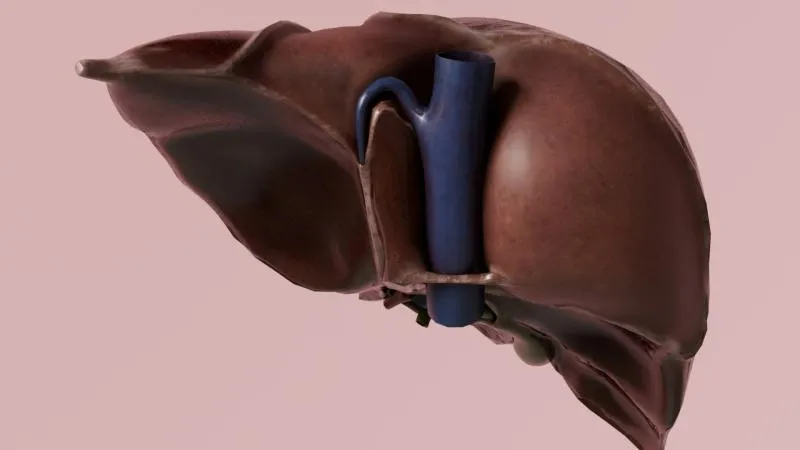 Transplantation hépatique pour atrésie des voies biliaires