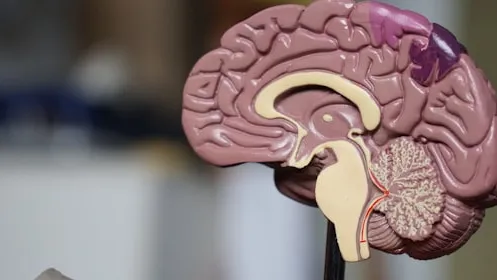 Centre de neurochirurgie