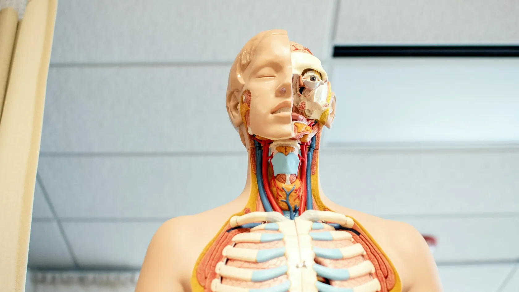 Chirurgie du cancer de la thyroïde