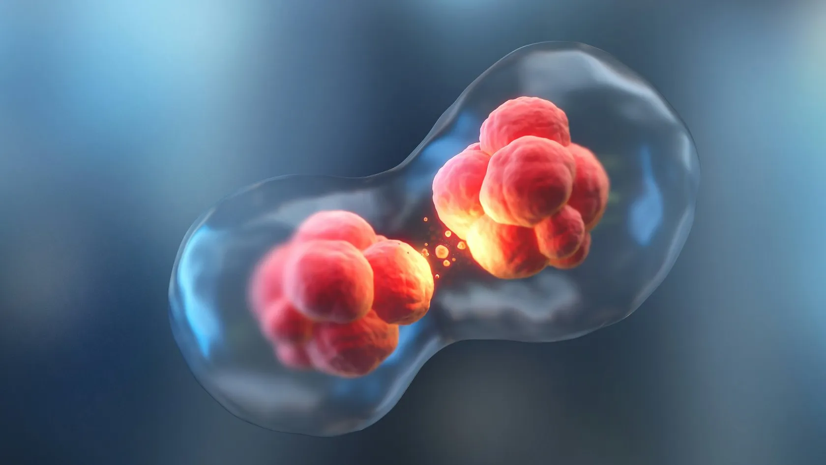 Thérapie par anticorps bispécifiques