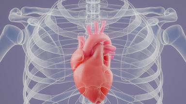 Chirurgie des valves cardiaques
