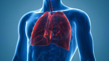 Métastasectomie pulmonaire - chirurgie des métastases pulmonaires